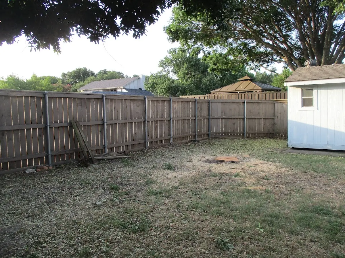 Cleared yard after professional tree removal in Columbiaville