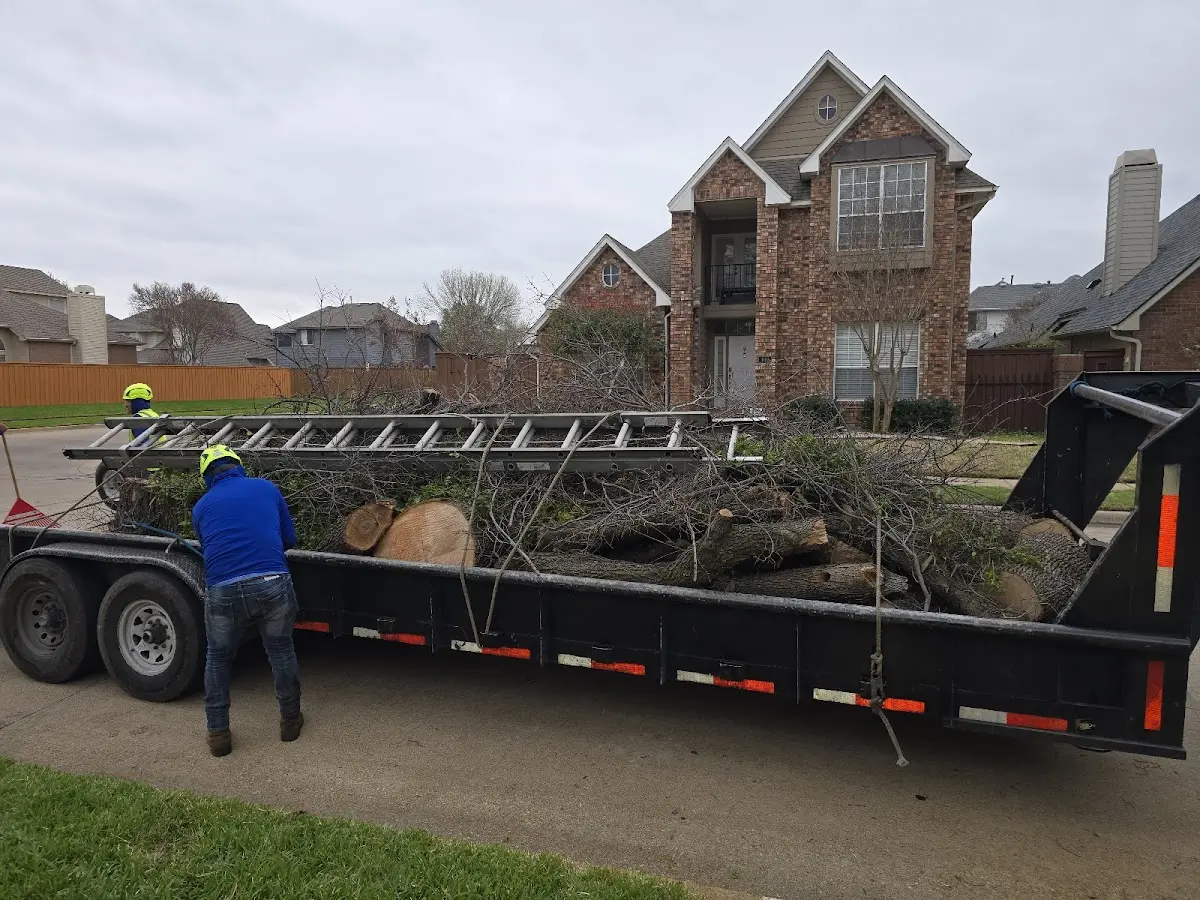 Expert Tree Removal with proper safety equipment in Columbiaville